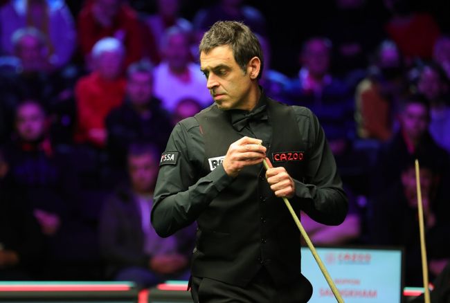 体一同参与 体一同参与